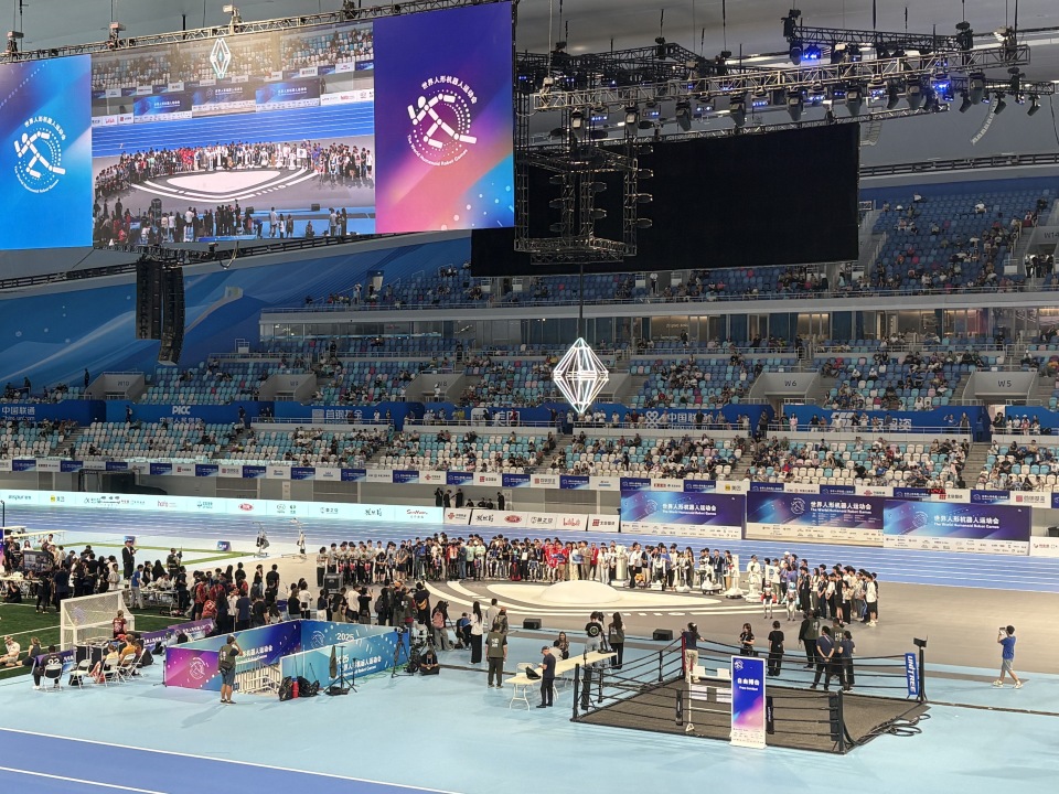 了金牌, 酷的一个, 铜牌