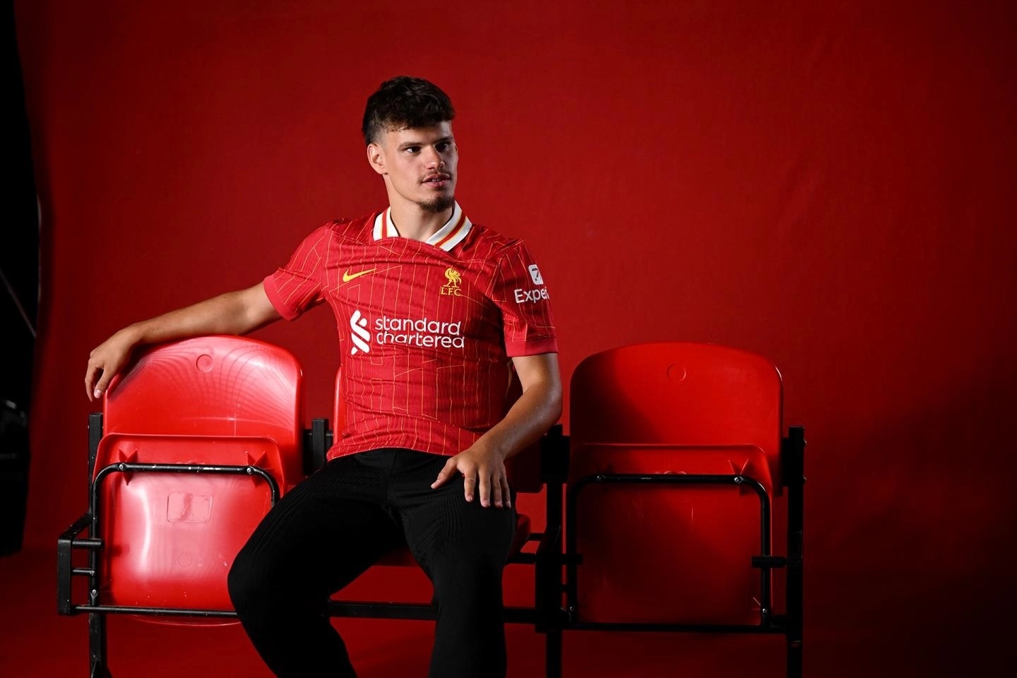 img, 我们已做好, stron img, 我们已做好, stron