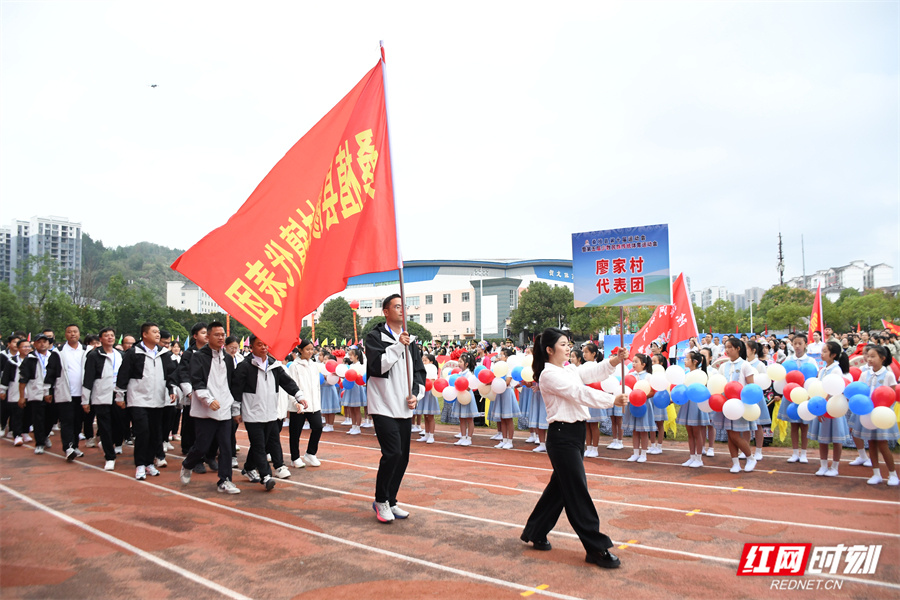 桑植县委书, com, 色彩